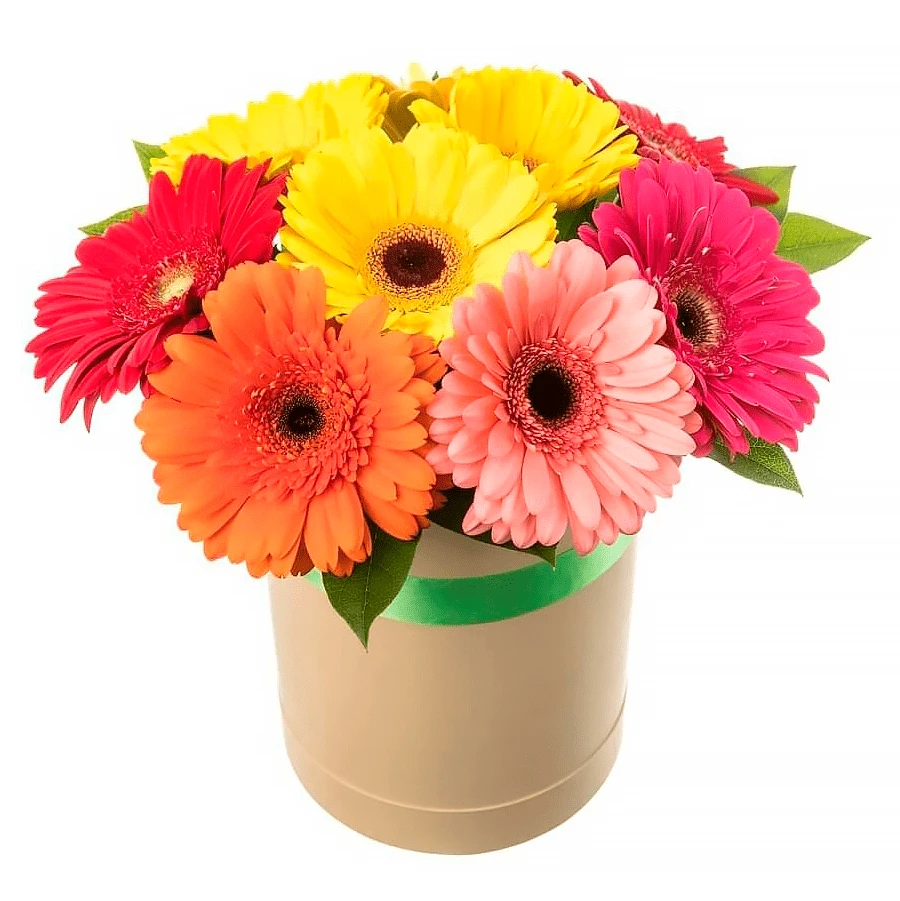 Цветы в коробке с герберами