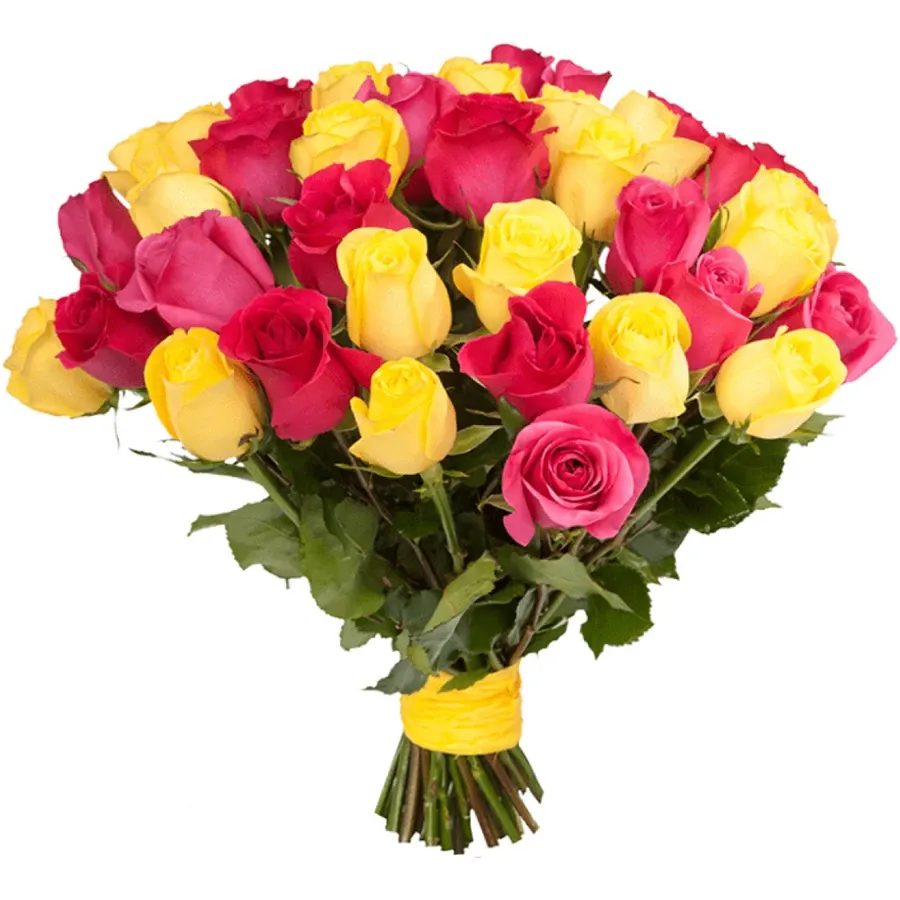 Розы Голландия желто-розовые